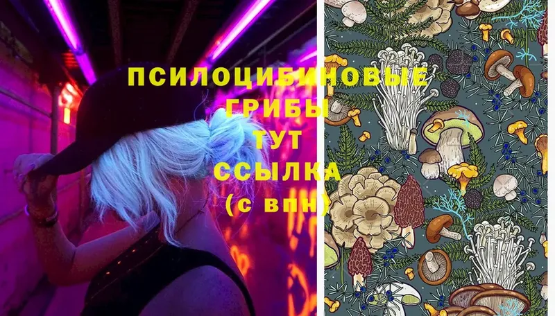 Галлюциногенные грибы Cubensis  Верхняя Тура 